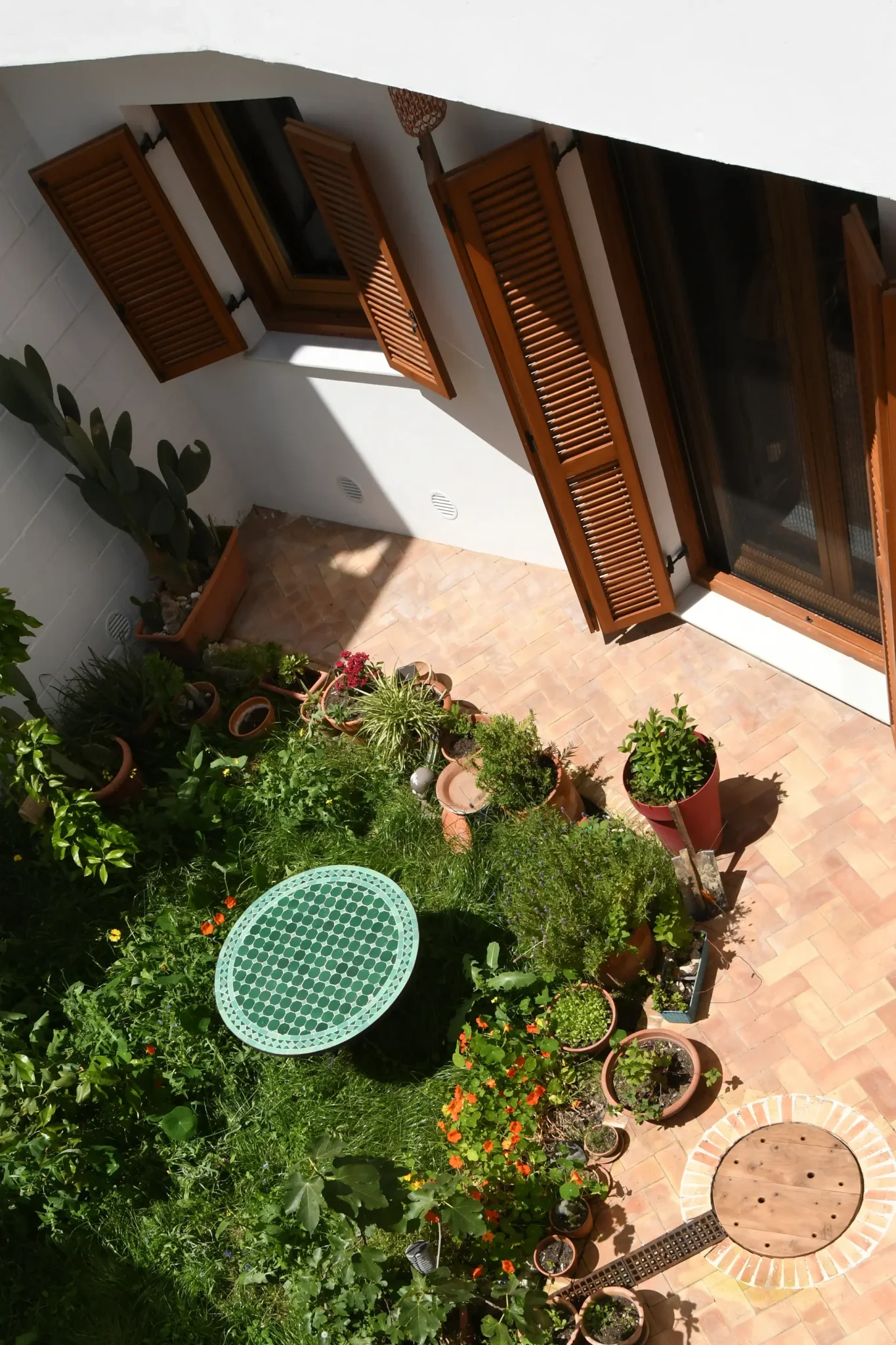 Patio con plantas de la casa cueva de la Bola de Oro, visto desde la planta alta