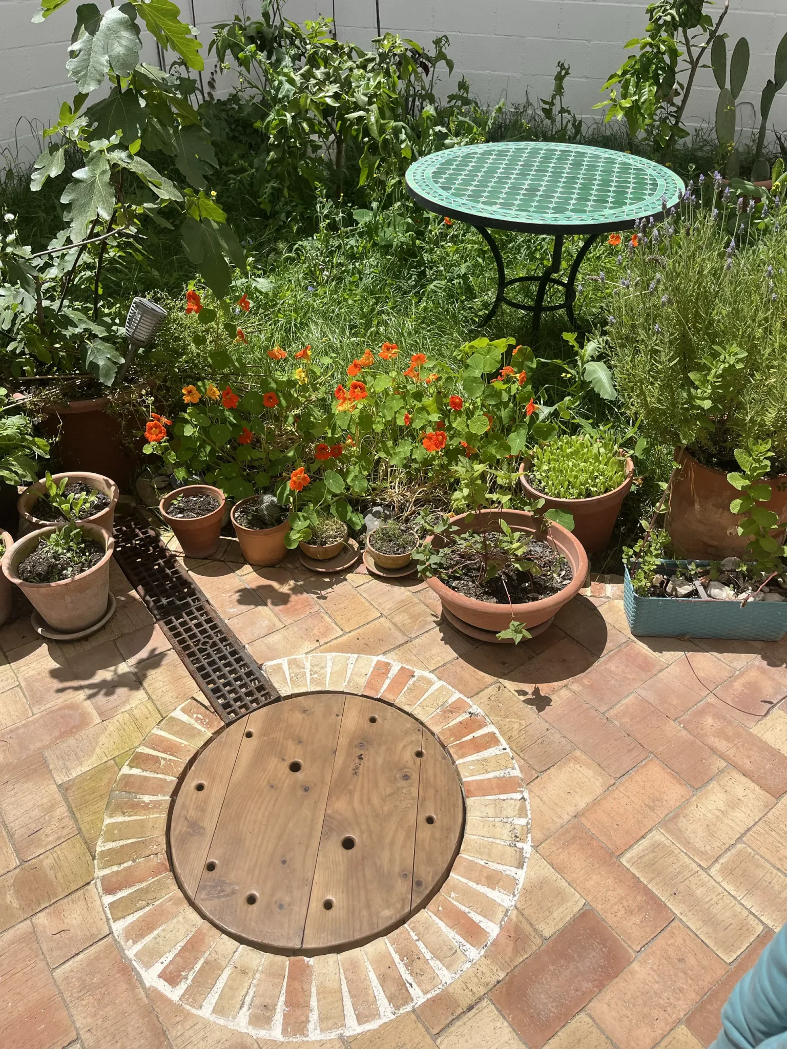 Patio con plantas y suelo de barro cocido de la casa cueva de la Bola de Oro, visto desde arriba