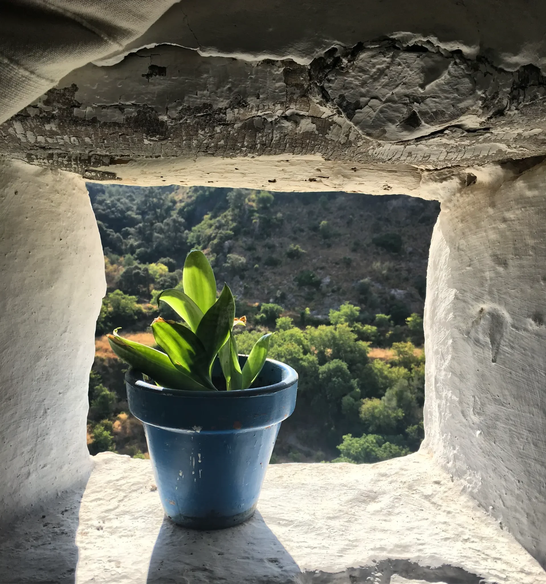 Maceta azul en el alféizar de una pequeña ventana abierta en un grueso muro encalado, con vistas a un valle de monte mediterráneo